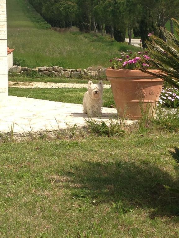 Bagno Santo Residence Saturnia Rum bild