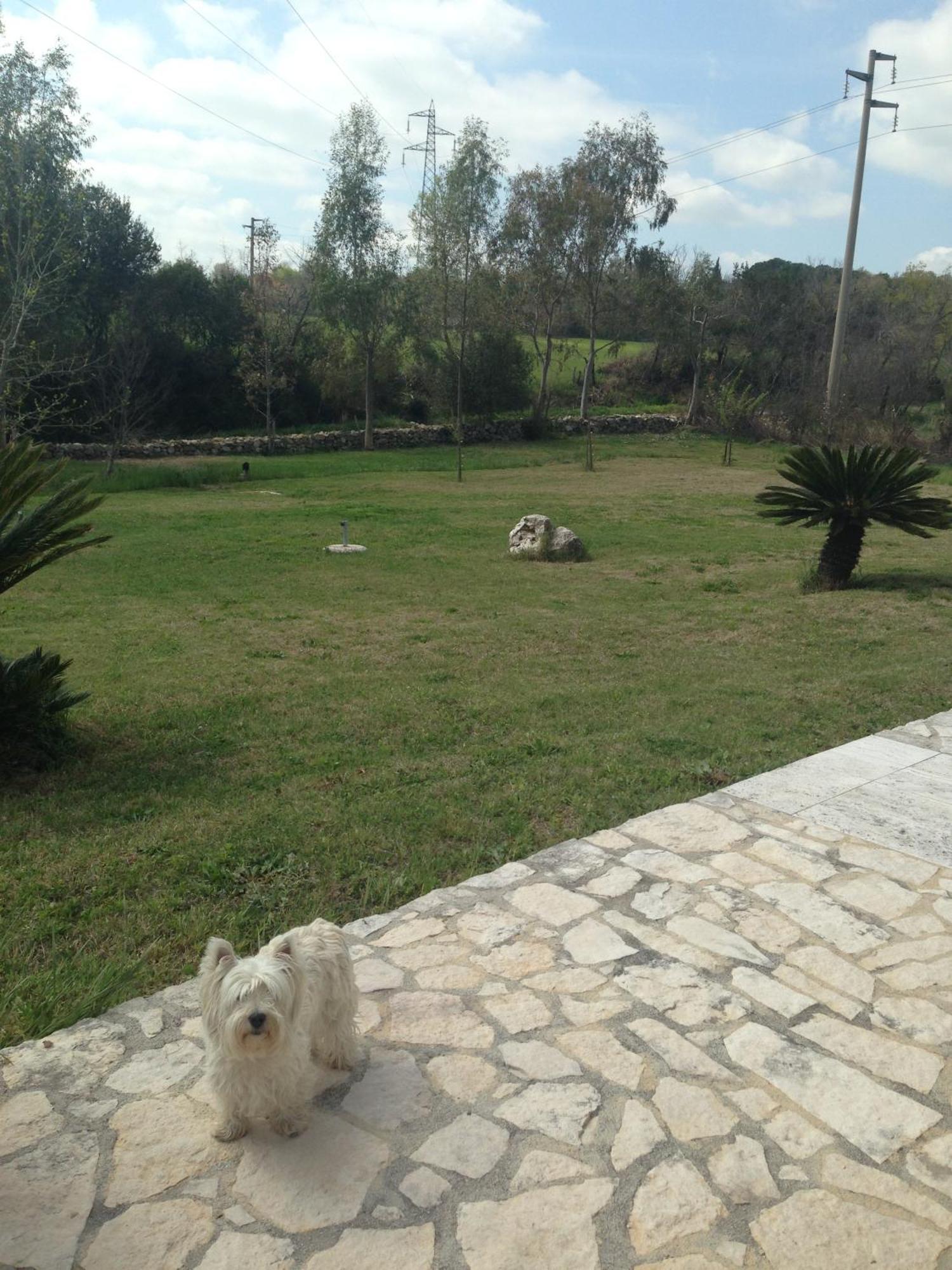 Bagno Santo Residence Saturnia Rum bild